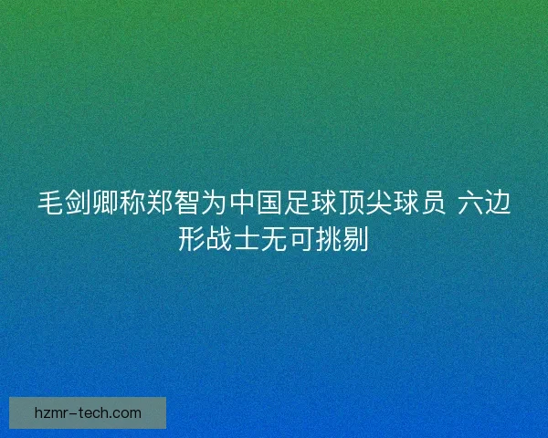 毛剑卿称郑智为中国足球顶尖球员 六边形战士无可挑剔